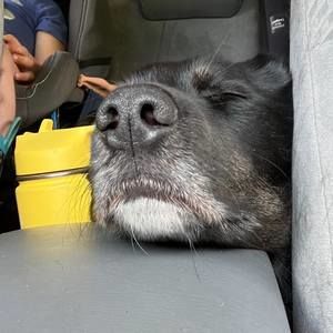 Meet your Posher, Kyndall